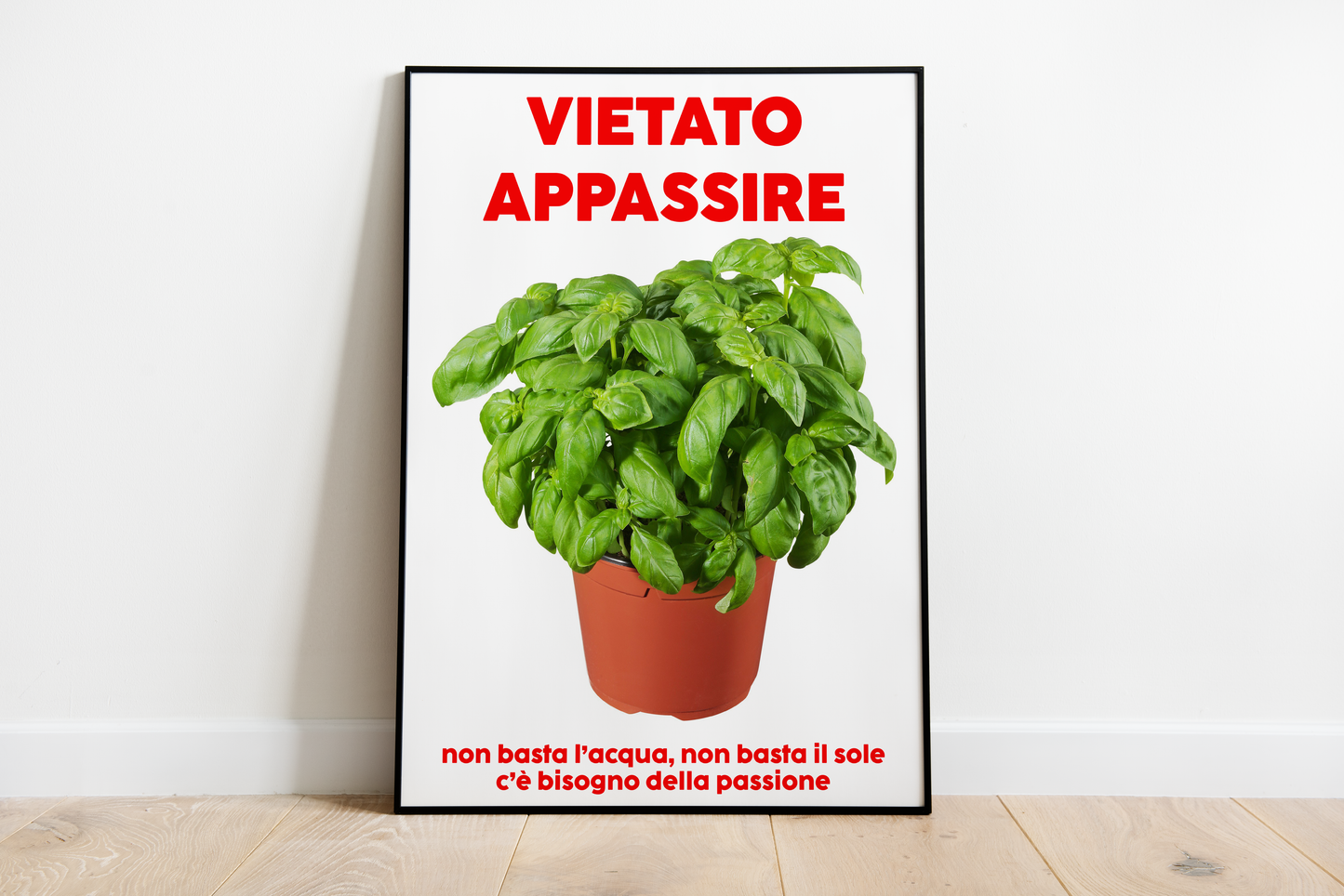 Poster Vasinicola